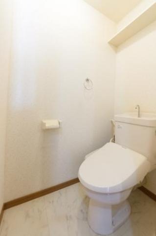 写真は反転です。