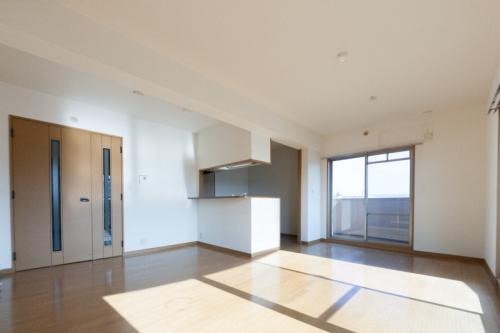 写真は反転です。