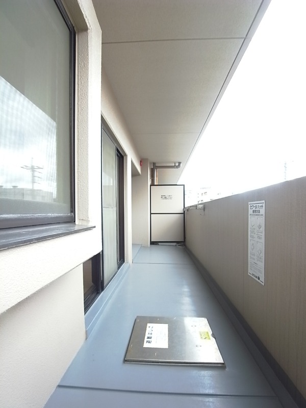 洗濯物はこちらでどうぞ。