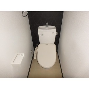 ウォシュレット機能付きです