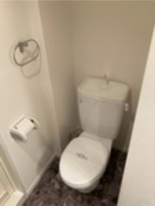 清潔感のあるトイレです