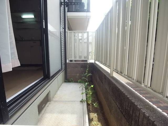 お洗濯物はこちらです。