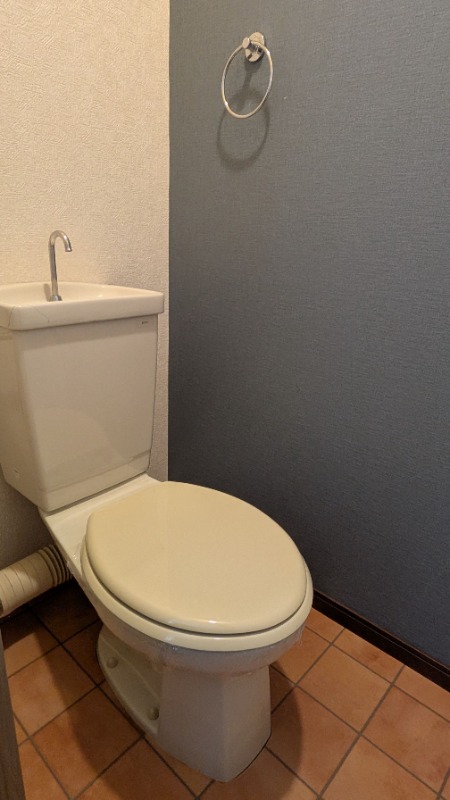 清潔感のあるトイレです