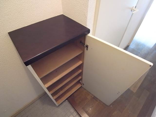 充分な収納量のシューズBOXです