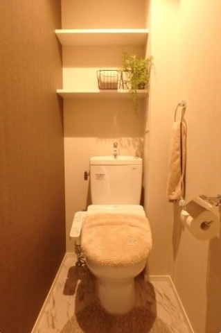 清潔感のあるトイレです