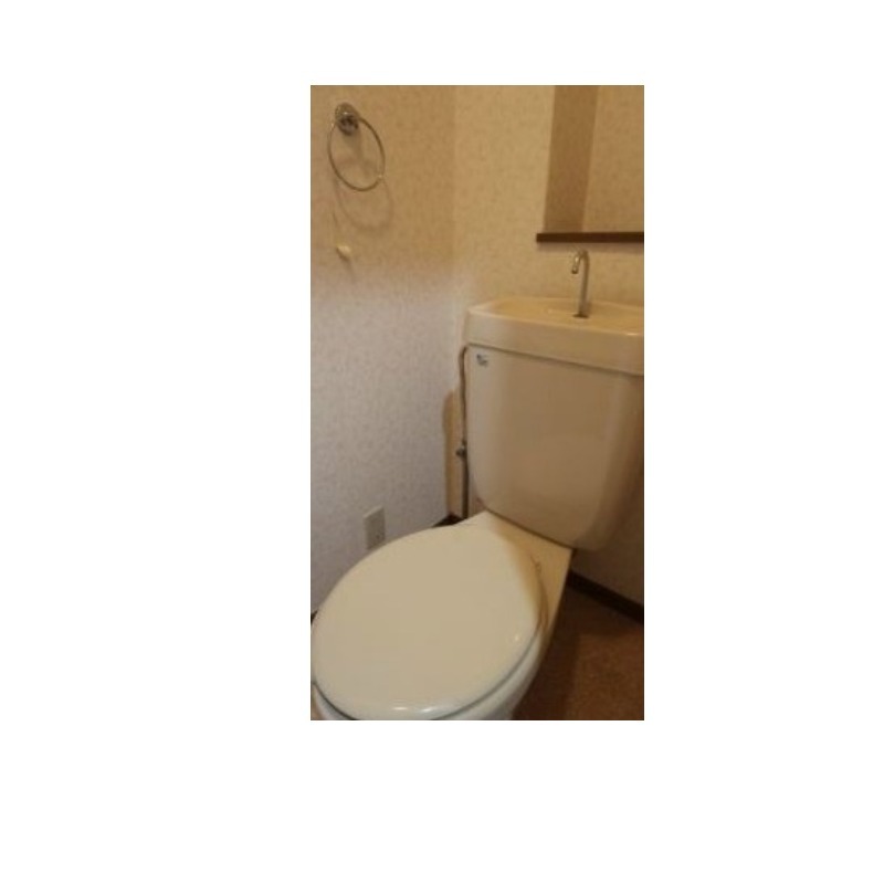 清潔感あるトイレですね