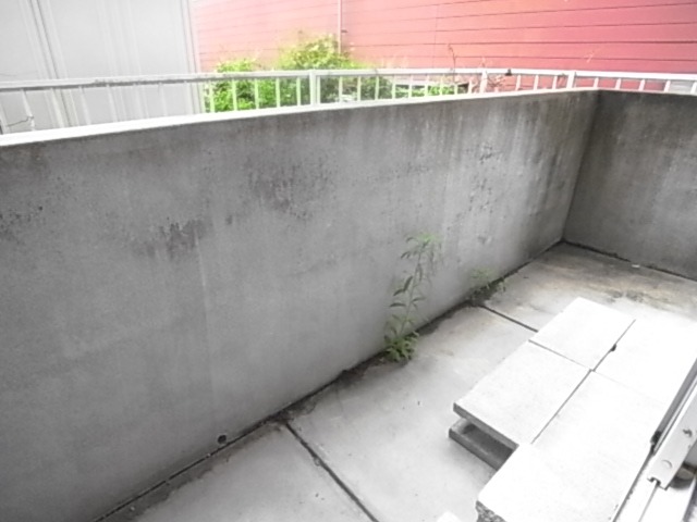 洗濯物はこちらで。