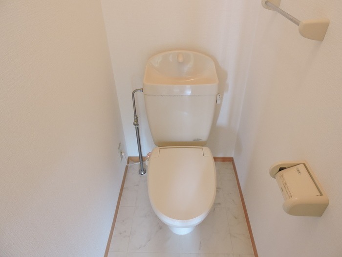 清潔感のあるトイレですね。