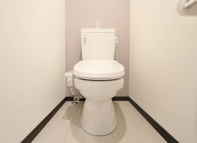 清潔感のあるトイレです。
