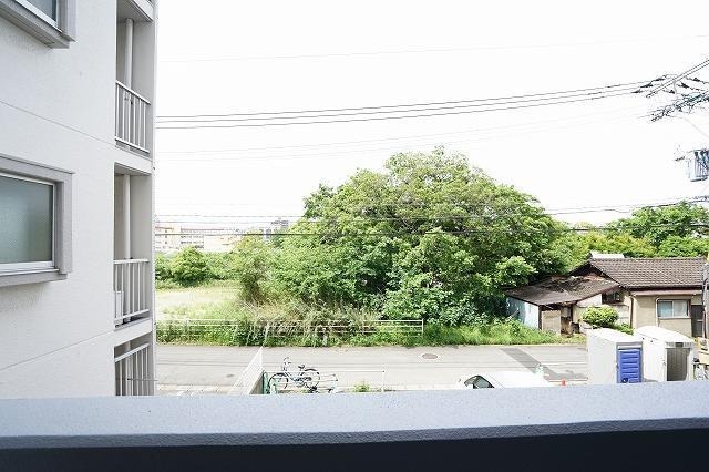 建物がないので風通しが良いです