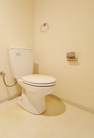 清潔感のあるトイレです