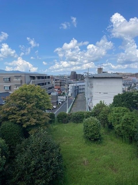 開放的な景色ですね。