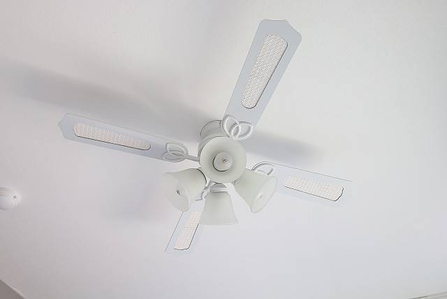 くるくる回ります。