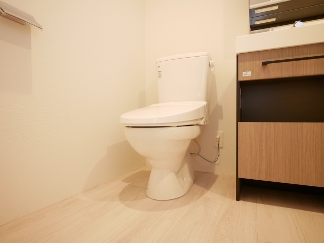清潔感のあるトイレです