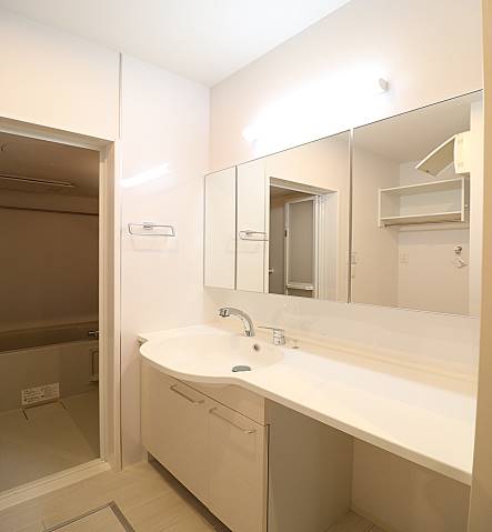 写真は別のお部屋です。大きな洗面化粧台が備わっています。