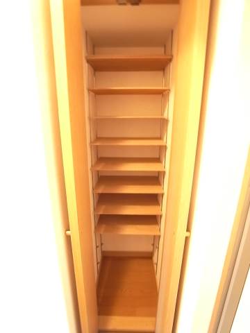 靴もたくさん入ります