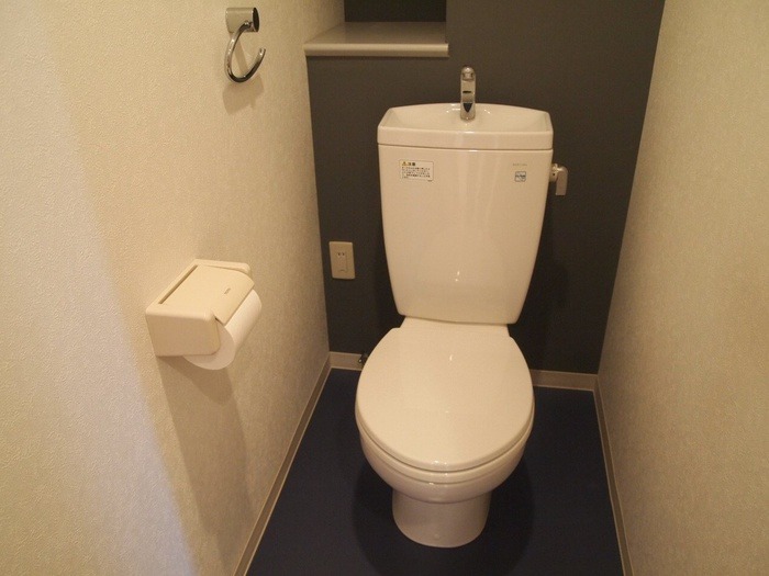 清潔感のあるトイレですね。