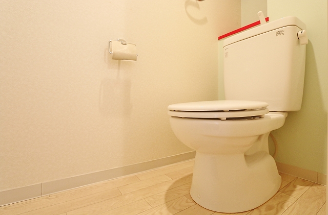 嬉しい温水洗浄便座付きです
