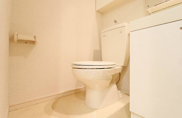 清潔感のあるトイレです