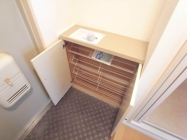 靴が増えても安心のシューズボックス