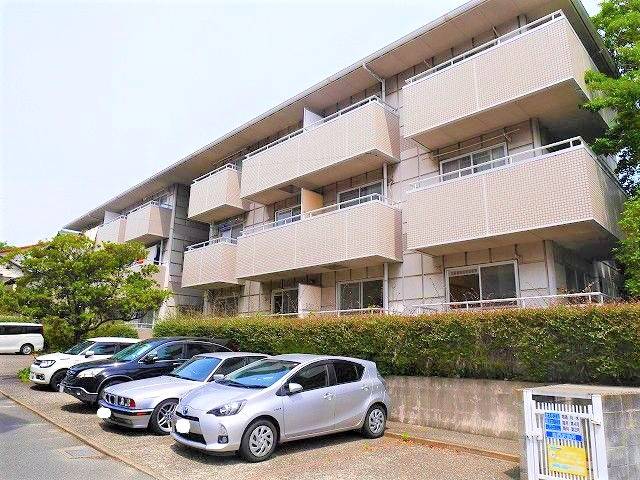 視界に緑があるとなんだか落ち着きますね