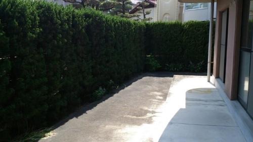 洗濯物はこちらです。