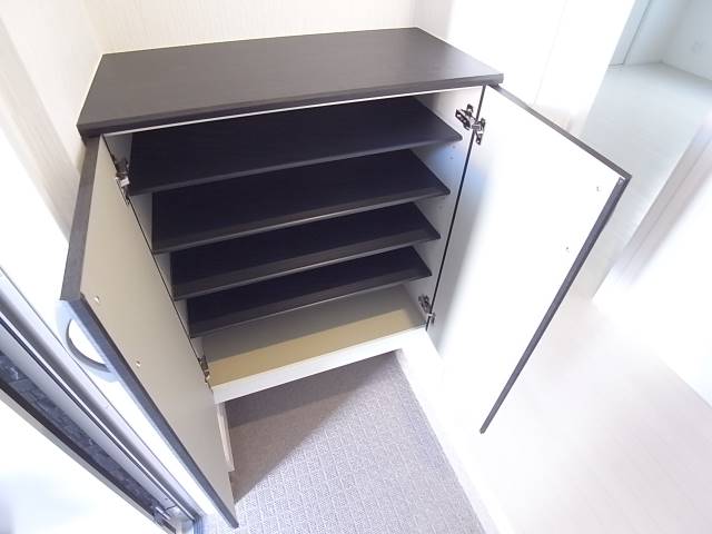 靴をたくさん持っていても大丈夫です