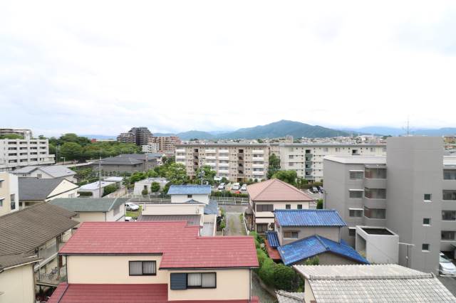 いい眺めです。