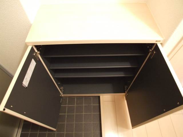 靴もたくさん入ります