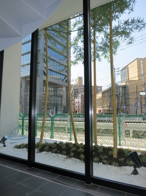 開放感バッチリです。