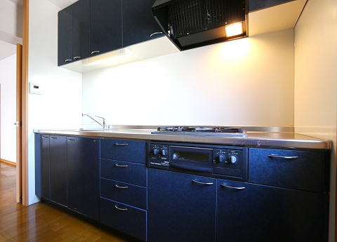 大きなシステムキッチンです