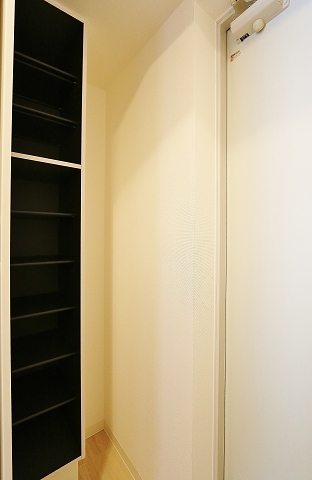 一人暮らしにはちょうど良いシューズボックスです