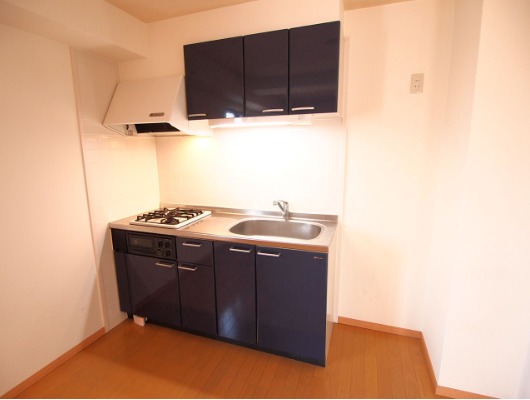 グリル付きのシステムキッチン