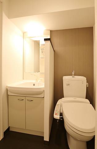 シャンプードレッサーで朝のお支度も楽々