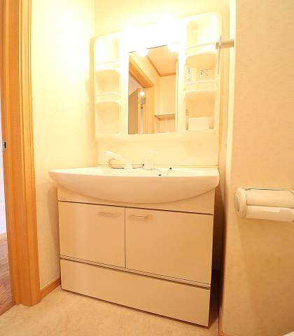 大きな独立洗面台完備。