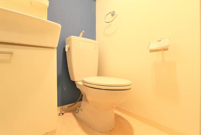 落ち着く雰囲気のお手洗いです