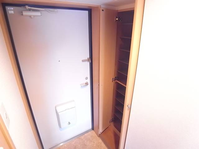 靴もたくさん入ります。