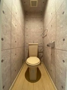 清潔感のあるトイレですね。