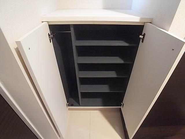 使いやすい靴箱です