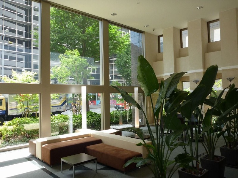 緑がきれいです