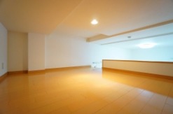 様々な活用方法があるロフトスペースです