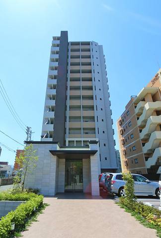 猫の飼育もできます