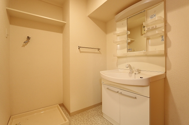 大きな独立洗面台