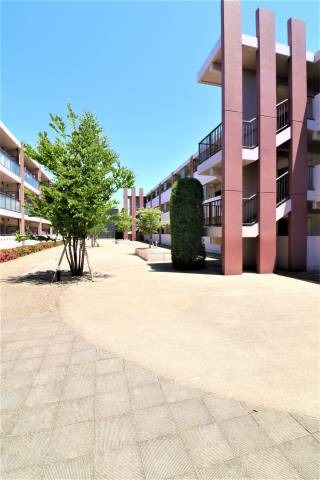 ようこそいらっしゃい。