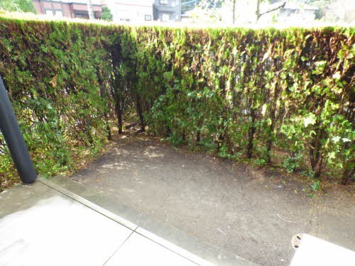 お洗濯はこちらで。