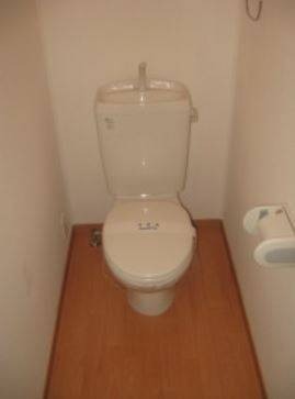 清潔感のあるトイレですね。