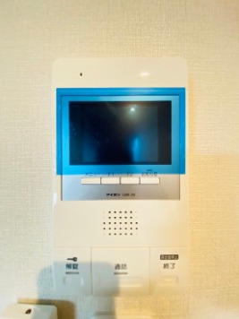 安心のモニターフォンです