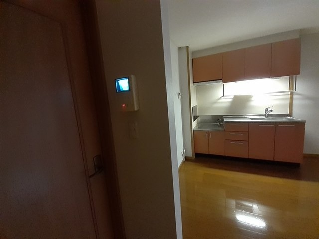 来訪者の顔も確認できます。