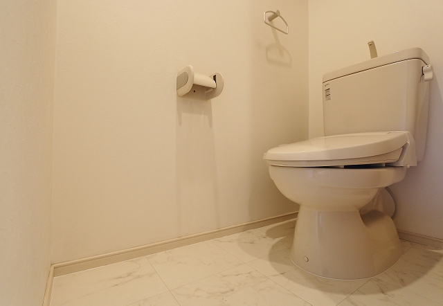 清潔感のあるトイレです