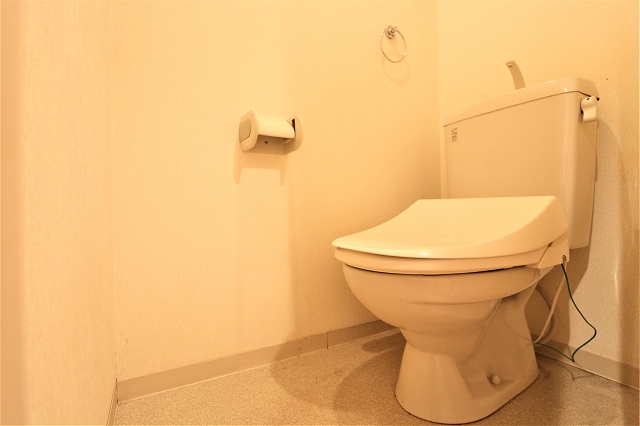 清潔感のあるトイレです